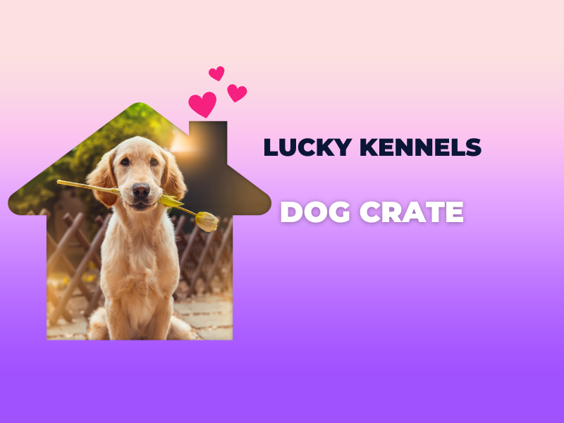 Meet the Lucky Kennels Dog Crate – Style Meets Comfort! 🐶💖