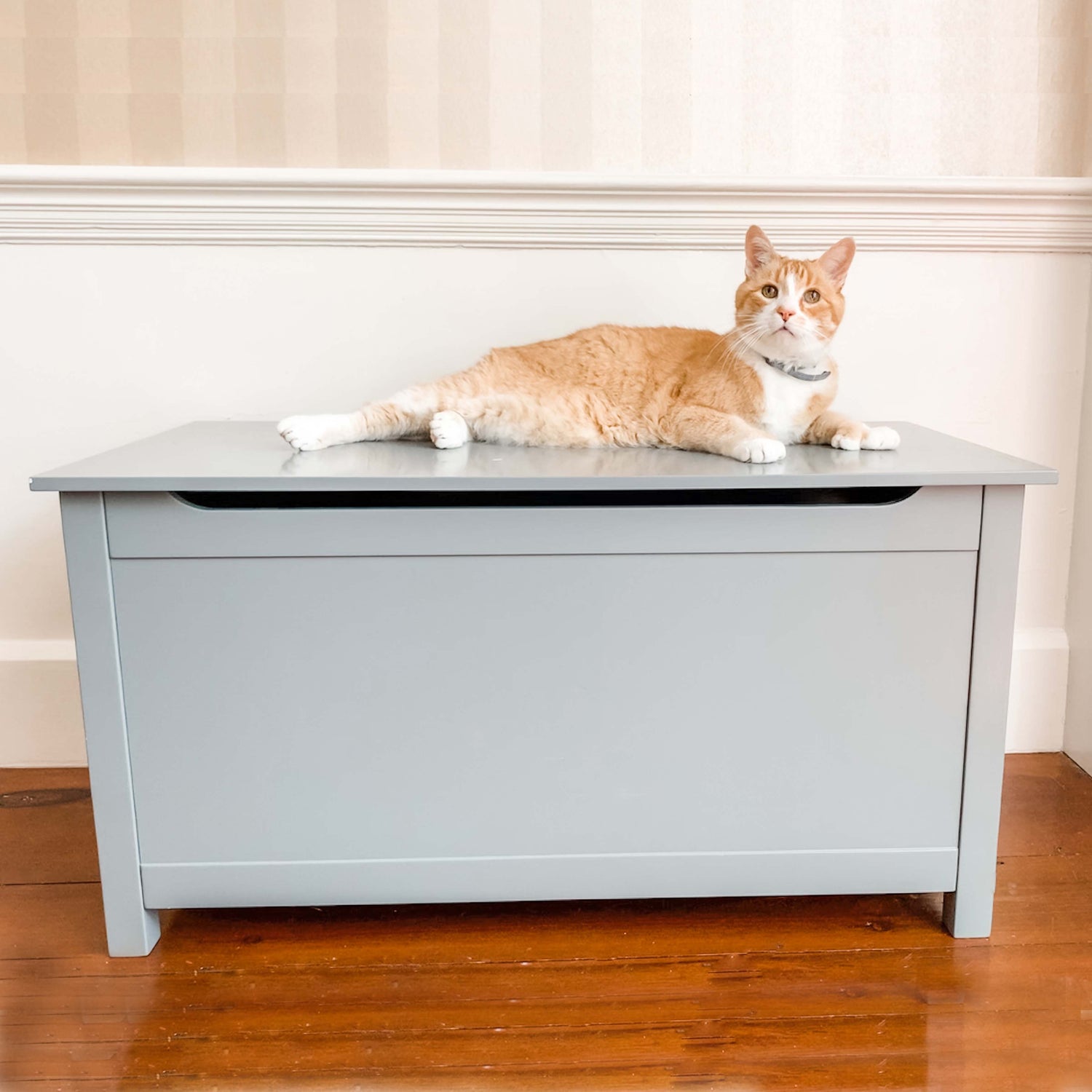 designer-catbox-parker-gray-litter box cat furniture large enclosure gato gata kitty cats boxes top pet hidden pan jumbo lid dog 