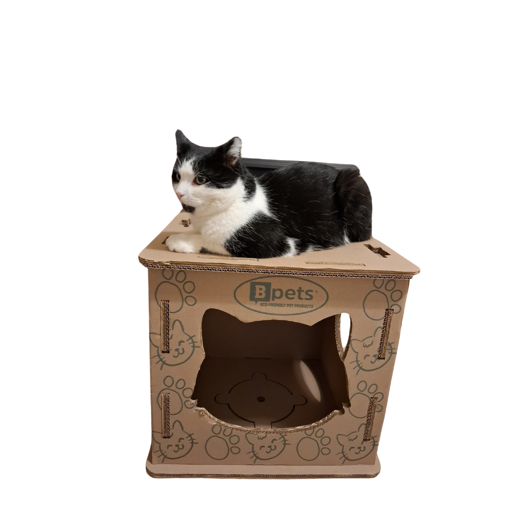 Cat House  3-in-1  – Hide, Scratch & Lounge