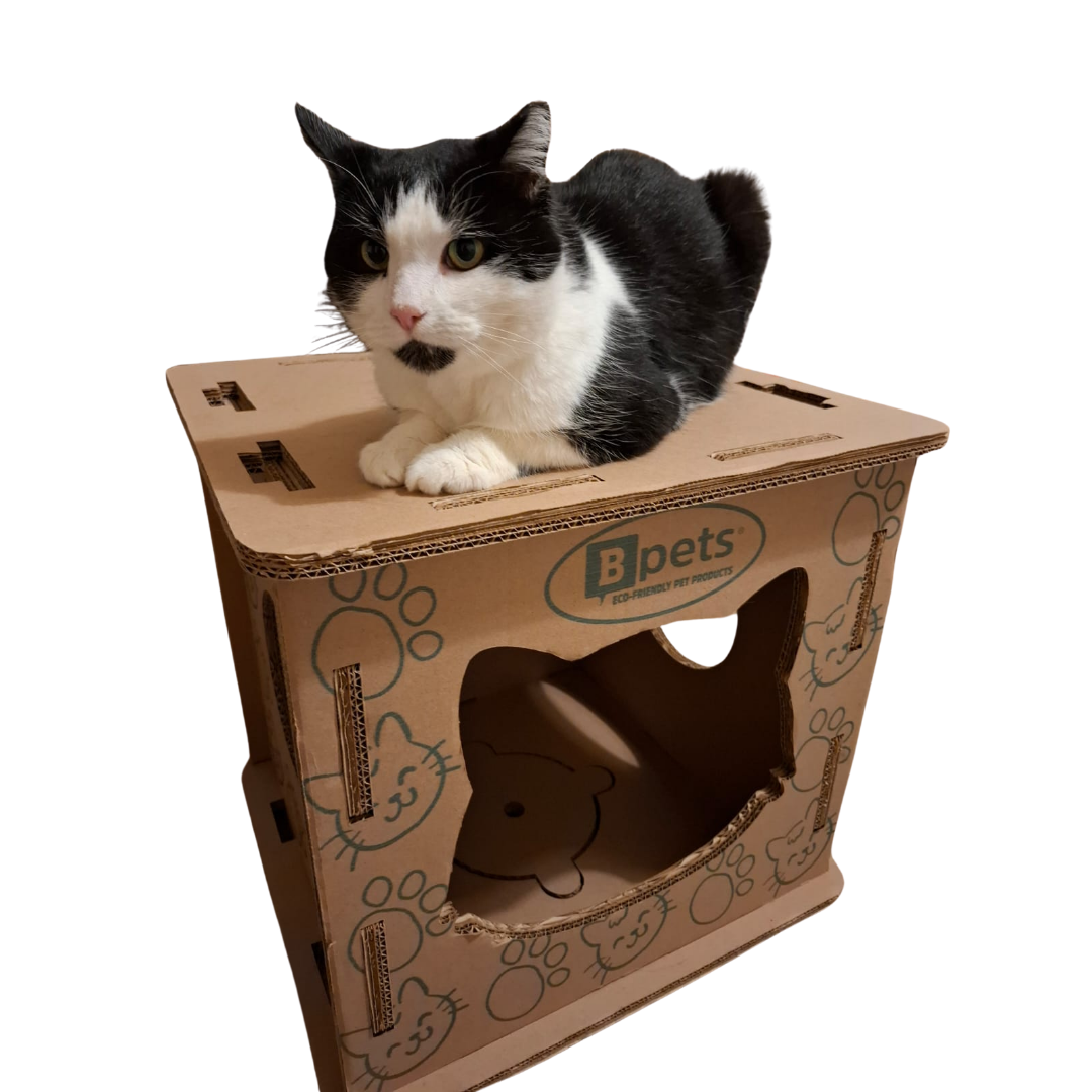 Cat House  3-in-1  – Hide, Scratch & Lounge