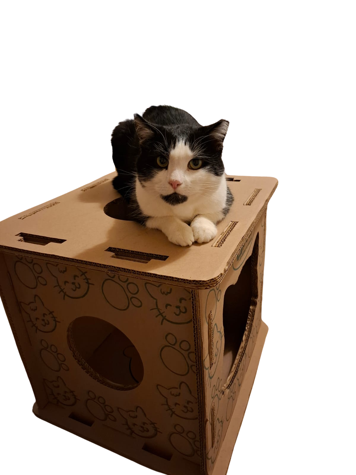 Cat House  3-in-1  – Hide, Scratch & Lounge