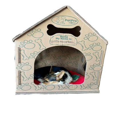 Cardboard Dog House No/Plush Bed Include Indoor, Modern Crate Alt., Sustainable Shelter. Large Dogs. Easy Assembly