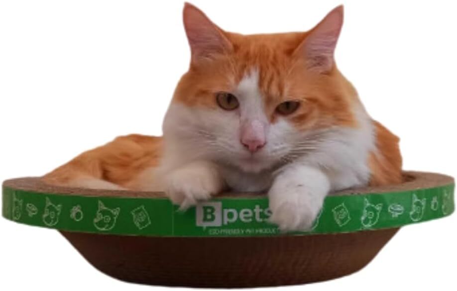 PetPro B Kitty Round Scratcher - Fun and Durable Cat Scratching Pad for Happy, Healthy Cats