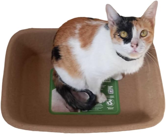 PetPro B-Neat Cardboard Kitty Litter Box - Innovative Cat Litter Solution