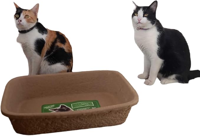 PetPro B-Neat Cardboard Kitty Litter Box - Innovative Cat Litter Solution