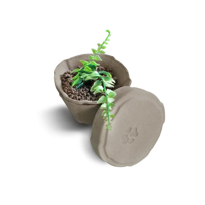 PetPro B Remembered - Plantable Pet Urn