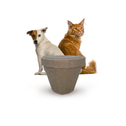 PetPro B Remembered - Plantable Pet Urn