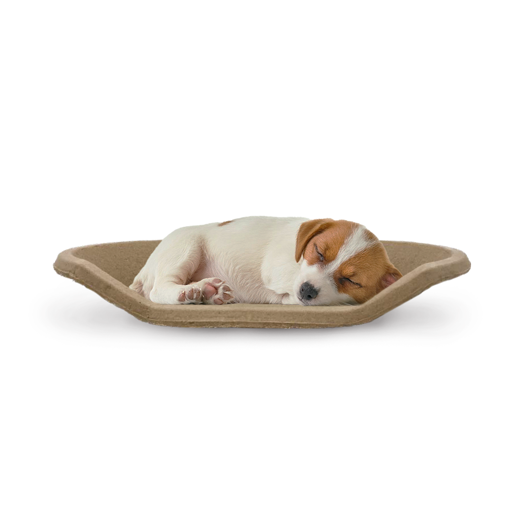 PetPro Biodegradable Pet Bed for Dogs & Cats - Cozy & Sustainable Mat | B Snug