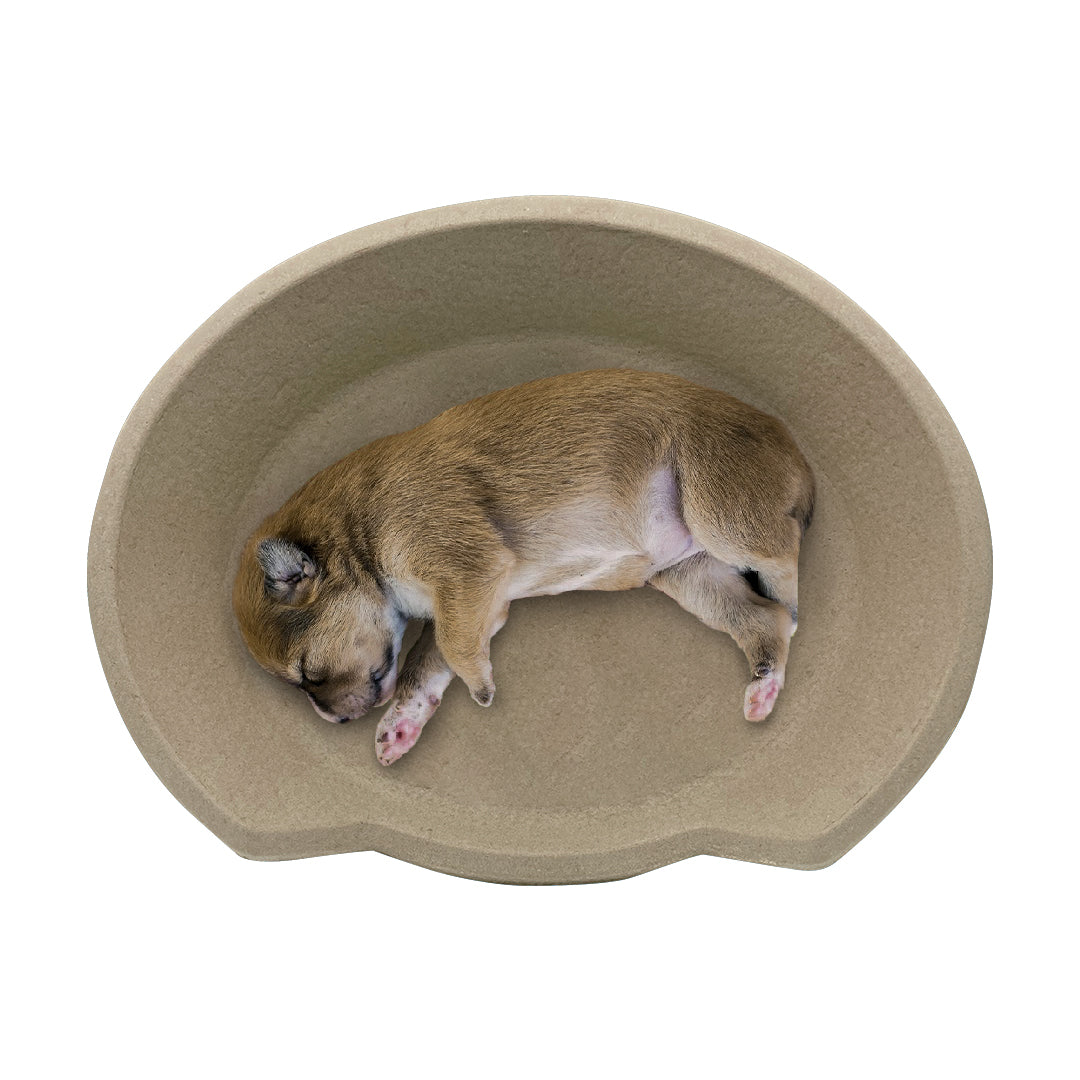 PetPro Biodegradable Pet Bed for Dogs & Cats - Cozy & Sustainable Mat | B Snug