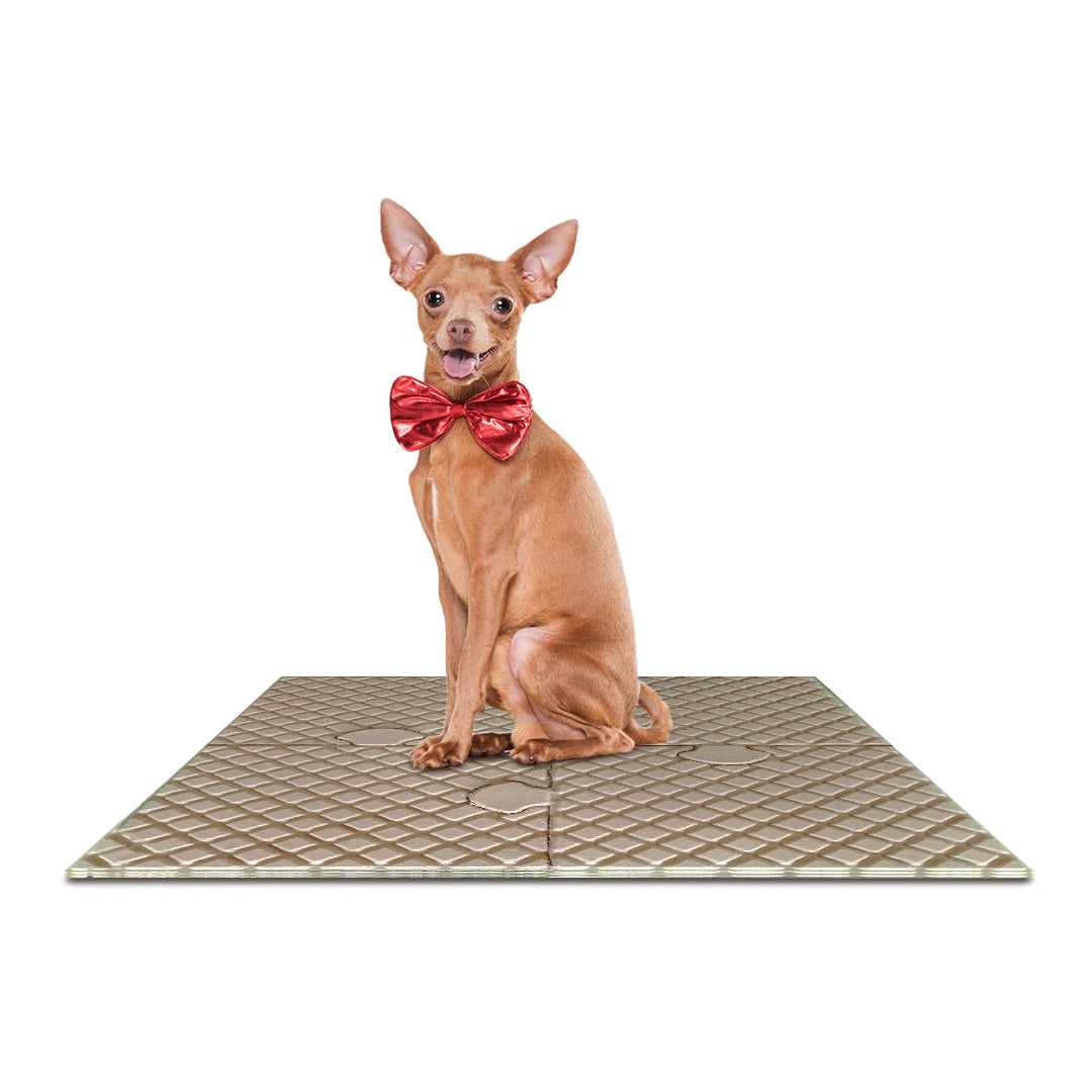 PetPro B-Tidy: 4-Piece Expandable Pet Play Mat Set for Dogs and Puppies (Set 4 pieces)