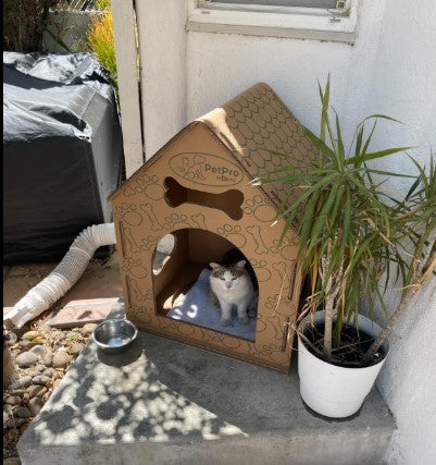 Cardboard Dog House No/Plush Bed Include Indoor, Modern Crate Alt., Sustainable Shelter. Large Dogs. Easy Assembly