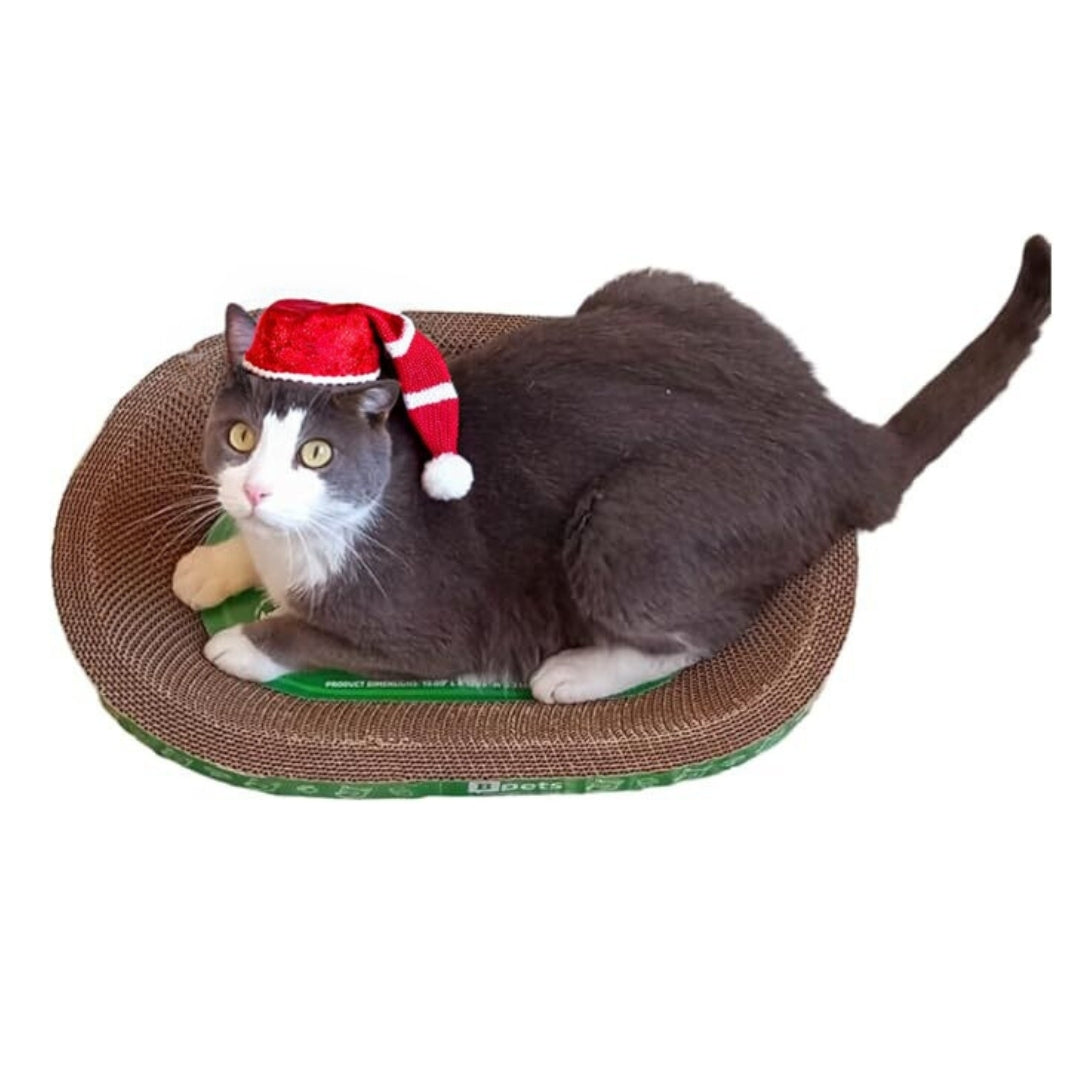 Oval Cat Scratcher – Sturdy, Natural Cardboard, Safe for Claws, Protects Furniture,Supports Active Play and Long naps.