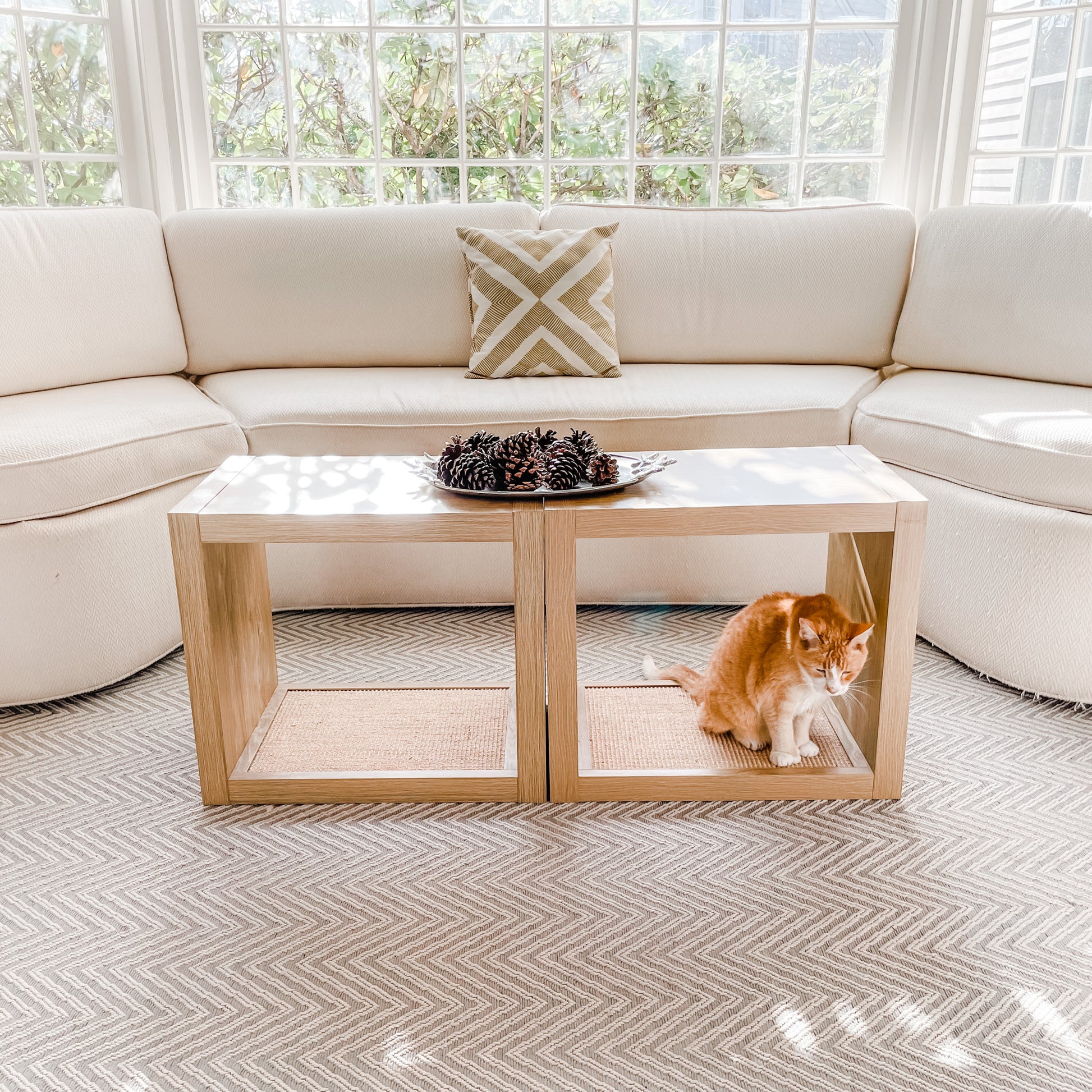 orange cat on sisal coffee table cat scratcher with sofa and couch