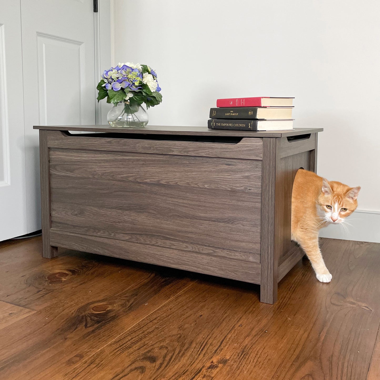 orange cat coming out of large litter box furniture storage chest