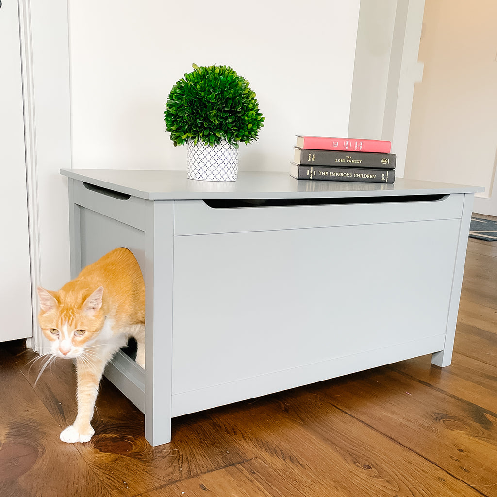 orange cat coming out of gray hidden litter box in living room